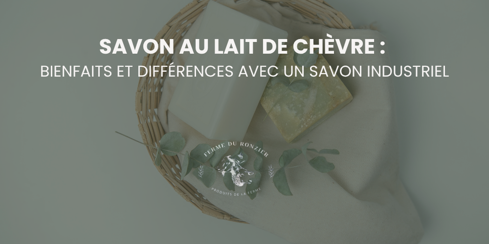Savon au lait de chèvre : bienfaits, utilisation et différences avec un savon industriel