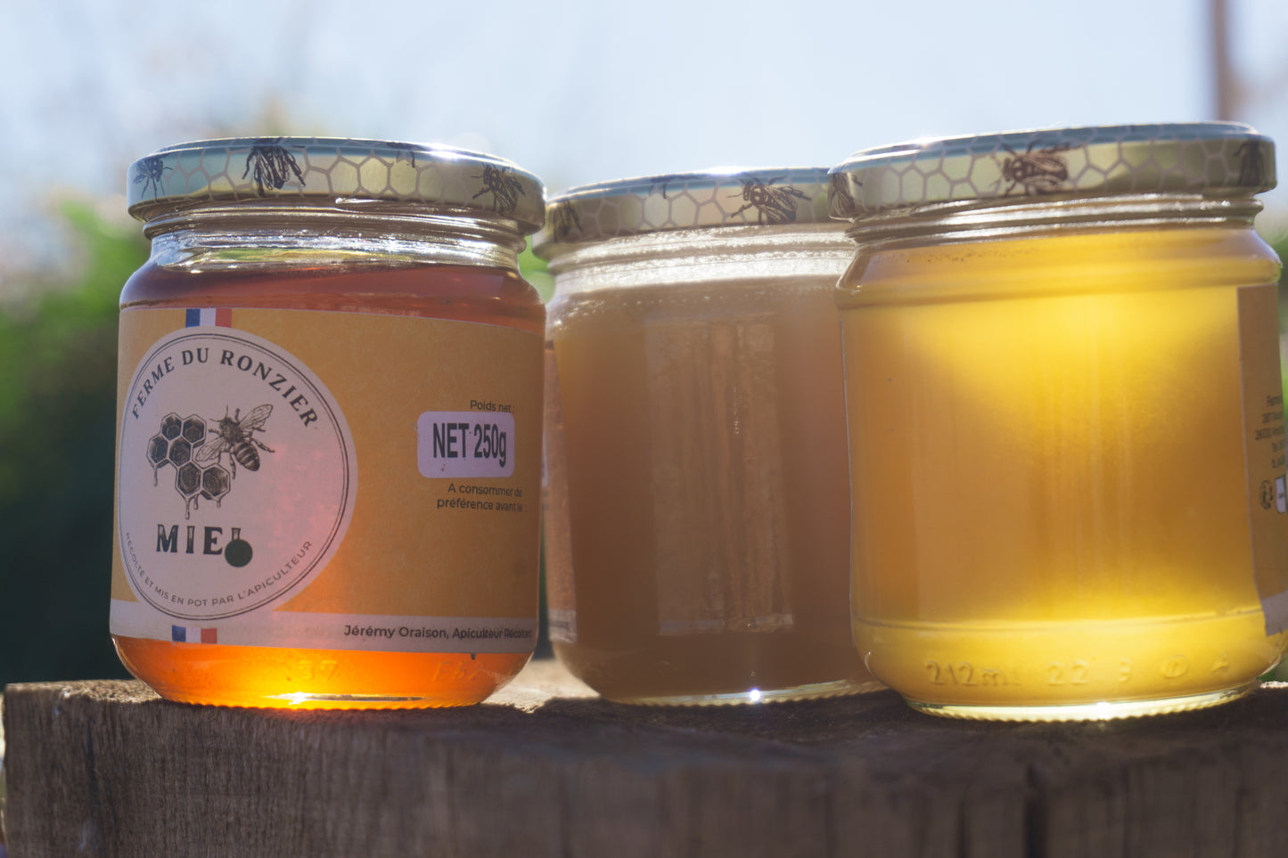 Miel crémeux
