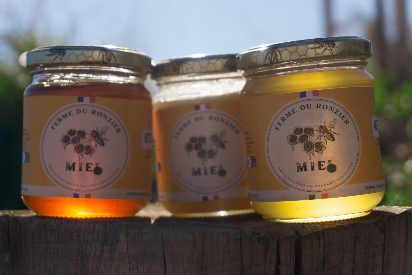 Miel crémeux