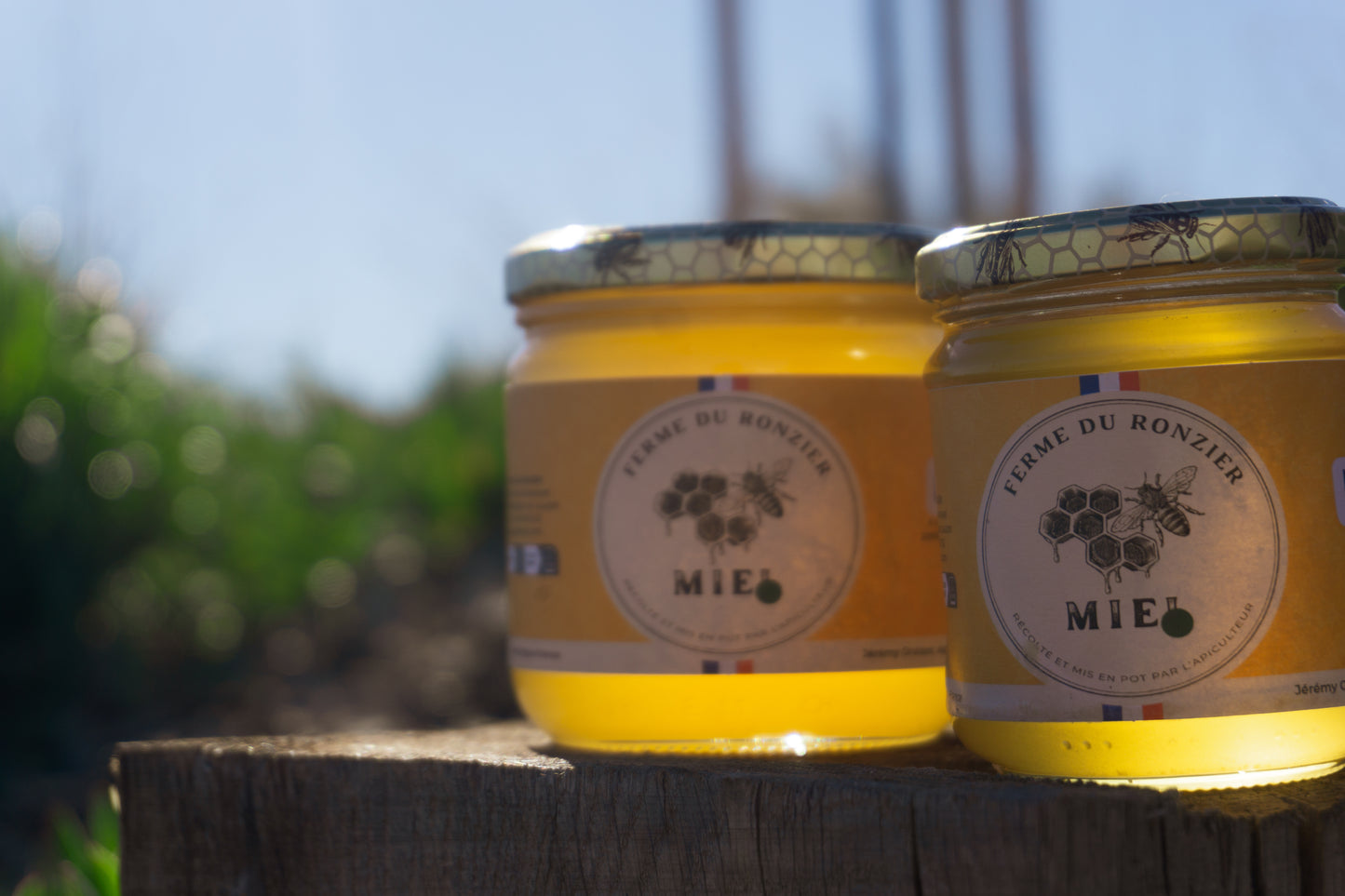 Miel crémeux