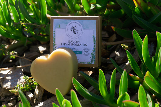 Savon au lait de chèvre et thym-romarin