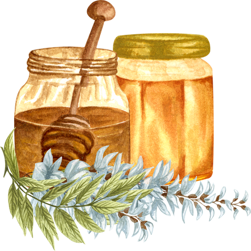 Watercolor Honey Illustration